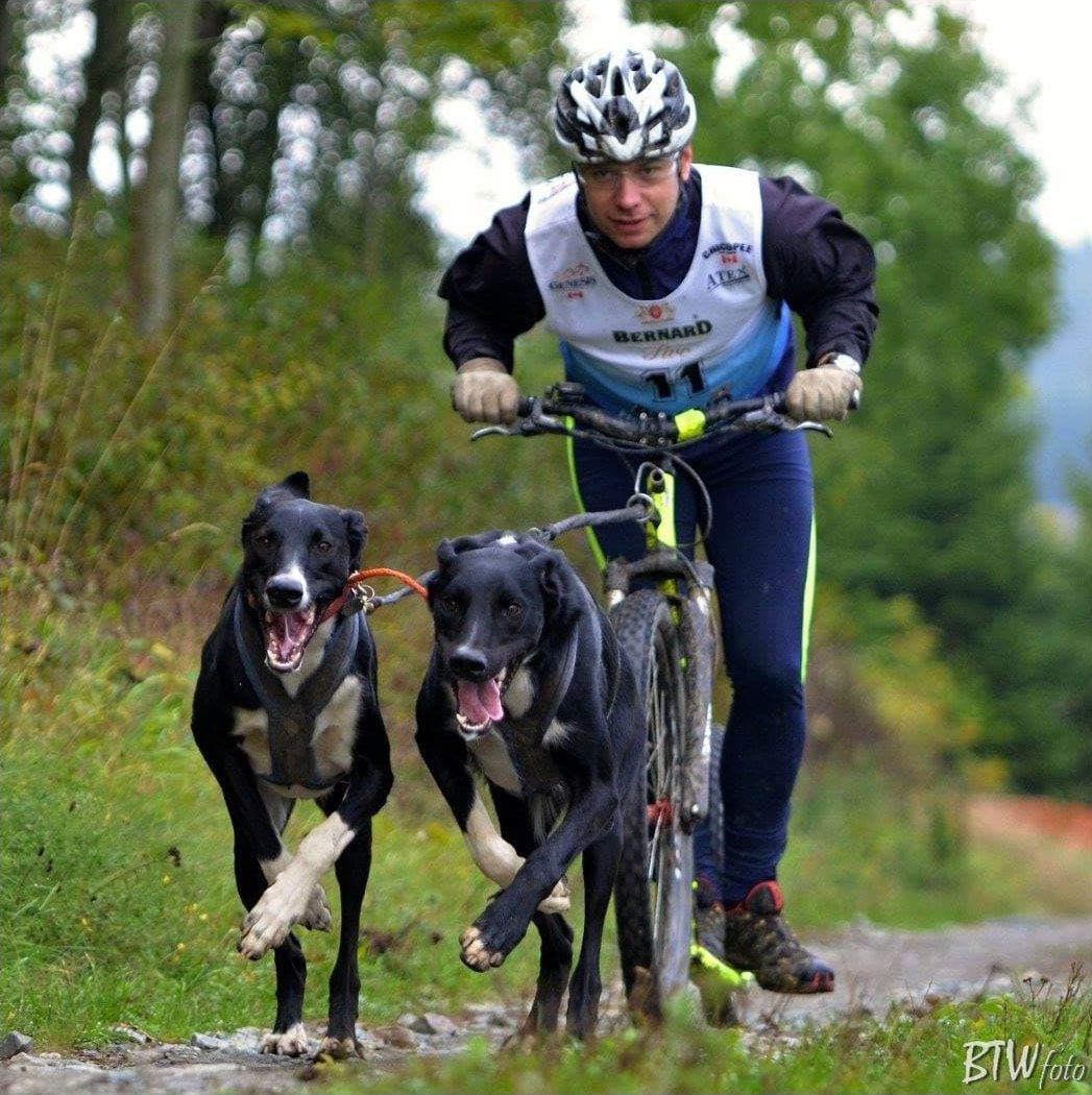 Mushing je sport o symbióze člověka a psa říká Petr Kolář