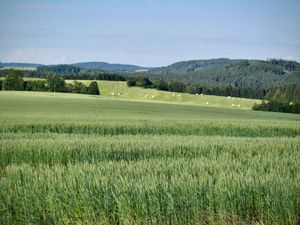 Hammerberg – hora, která přitahuje blesky