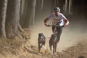 Mushing je sport o symbióze člověka a psa říká Petr Kolář
